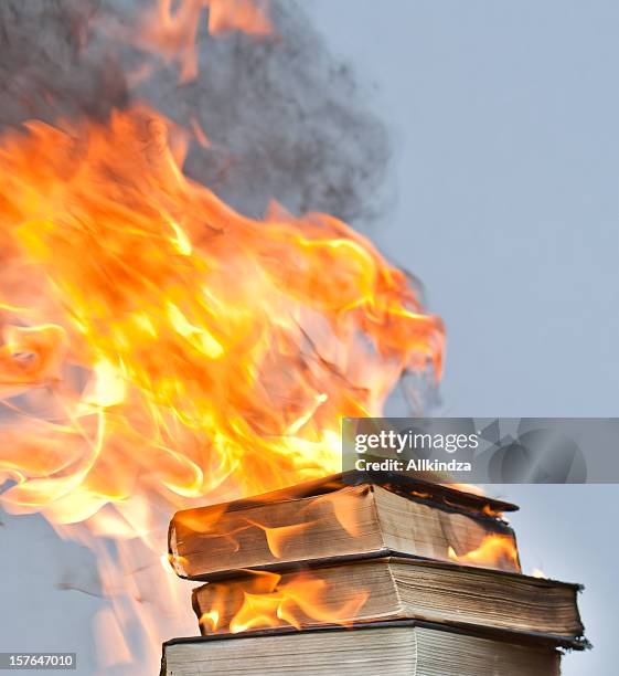 blazing hardcover books - book burning stock pictures, royalty-free photos & images