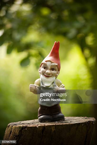 garden gnome - wichtel stock-fotos und bilder