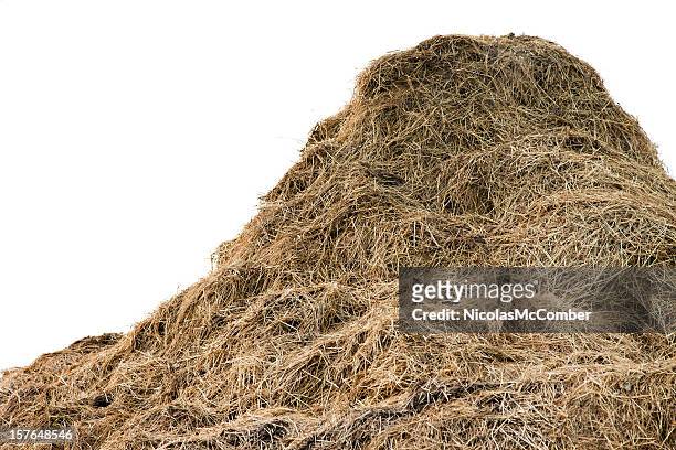 huge pile of hay - hay stock pictures, royalty-free photos & images