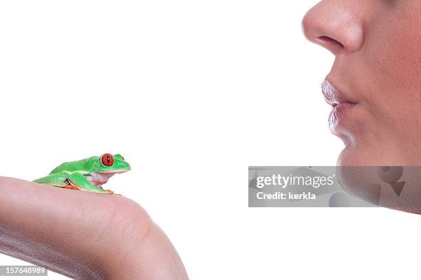 young woman willing to kiss a frog - woman frog hand stockfoto's en -beelden