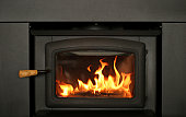 Cheery Fire Burning in Fireplace Insert