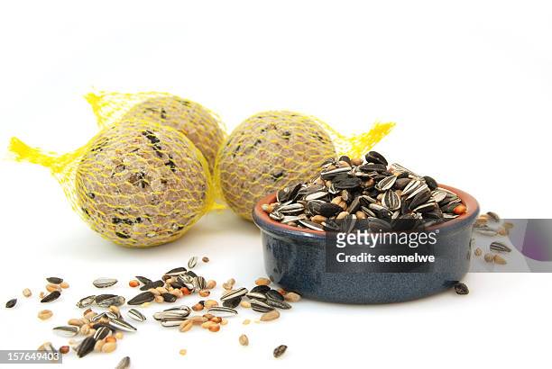 bird food - bird seed stock pictures, royalty-free photos & images