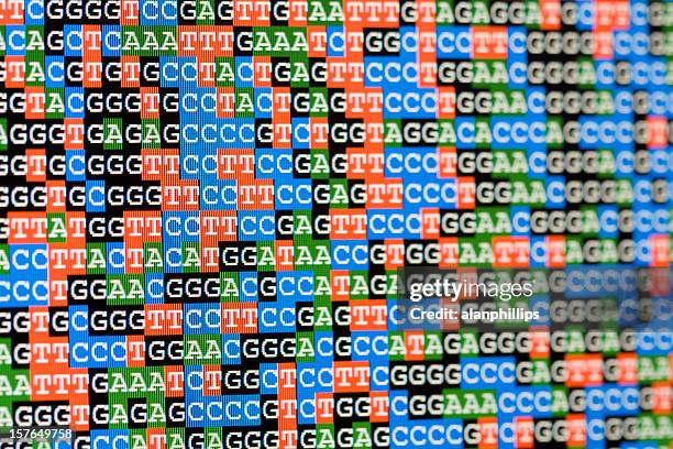 unaligned dna-sequenzen blick auf lcd-bildschirm - genome sequencing stock-fotos und bilder