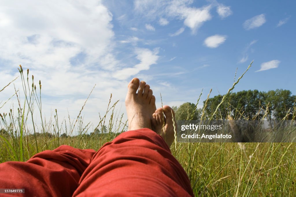 A man relaxing on the grass in a meadow