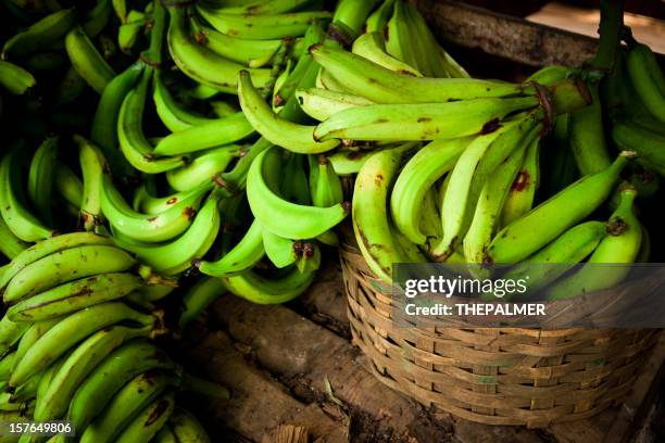 banana plantain in a pallets - plantain stock pictures, royalty-free photos & images