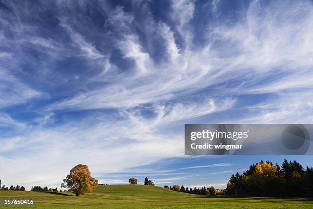 bayerische herbst wiese - zirrus stock-fotos und bilder