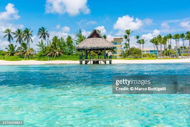 beach hut on a tropical beach - república dominicana fotografías e imágenes de stock