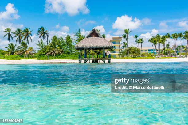 beach hut on a tropical beach - punta cana foto e immagini stock