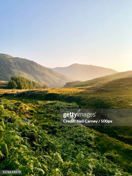 scenic view of field against clear sky,aberfeldy,united kingdom,uk - perthshire stock-fotos und bilder