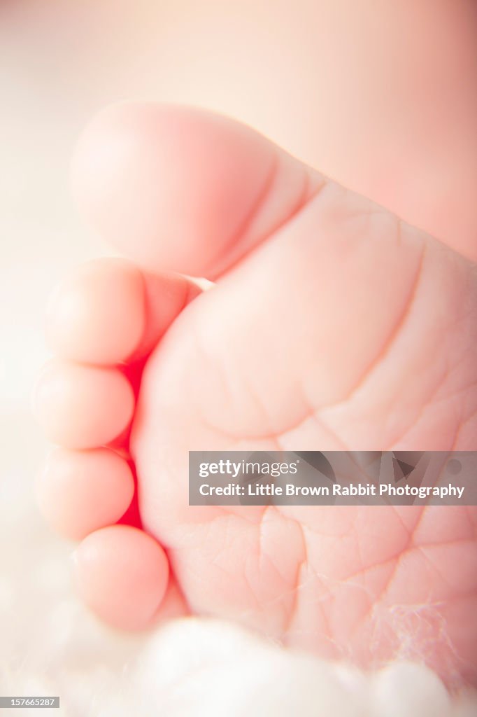 Baby Foot and Toes