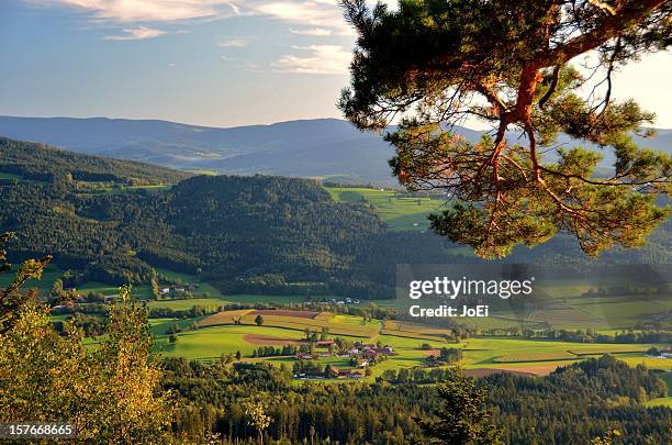 blick ins zellertal - ei stock pictures, royalty-free photos & images