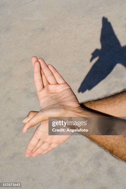 bird hand sign against sun - shadow puppets stock pictures, royalty-free photos & images