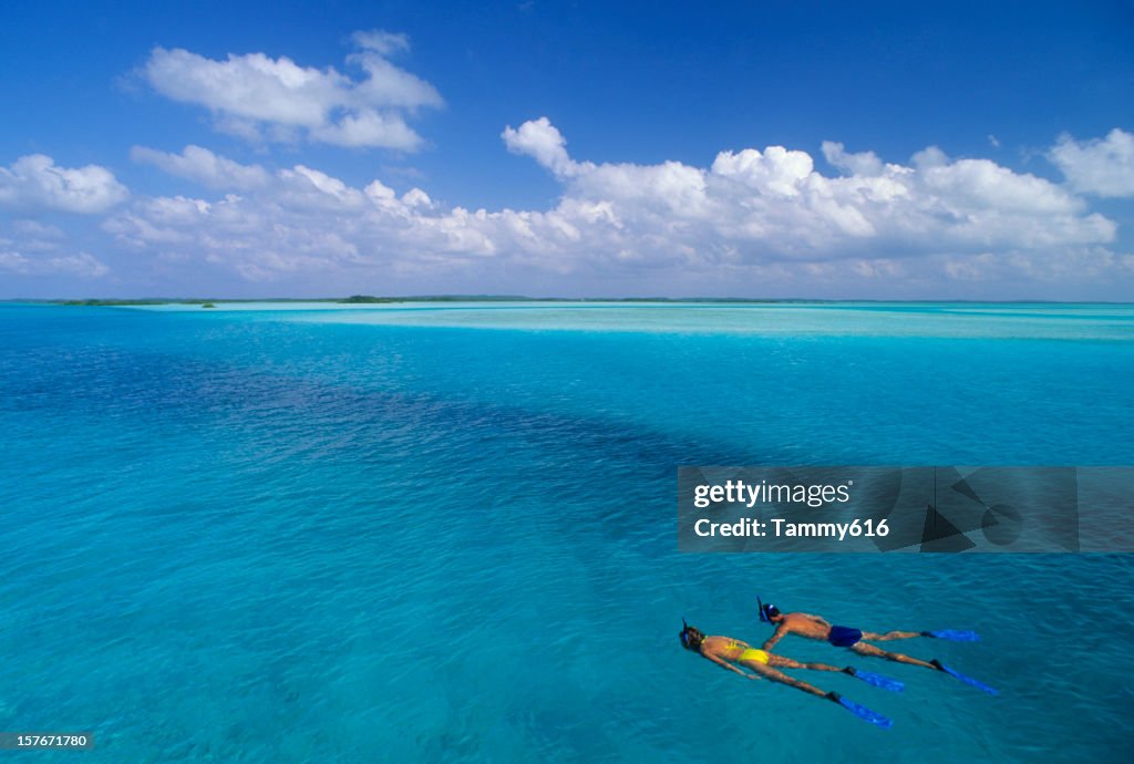 Snorkeling Adventure