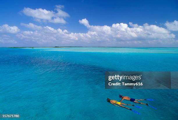 snorkeling adventure - bahamas stock pictures, royalty-free photos & images