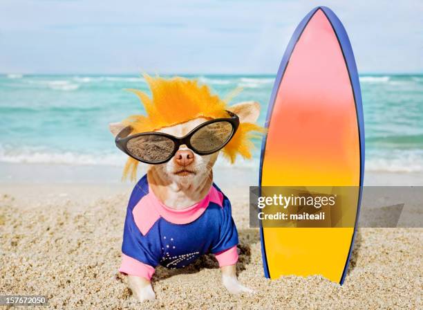 surfeur - planche de surf photos et images de collection