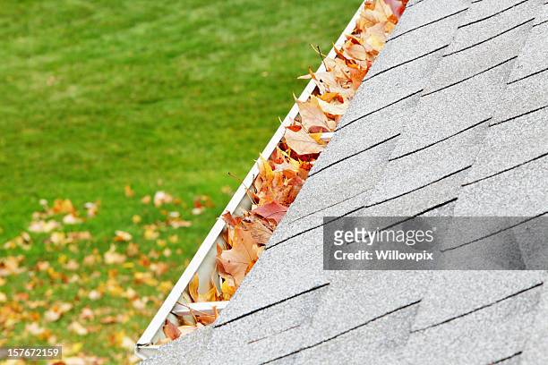 residential hause dachrinne mit herbst blätter - dachrinne stock-fotos und bilder