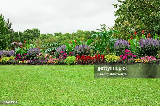 césped y jardín formal - flower bed fotografías e imágenes de stock