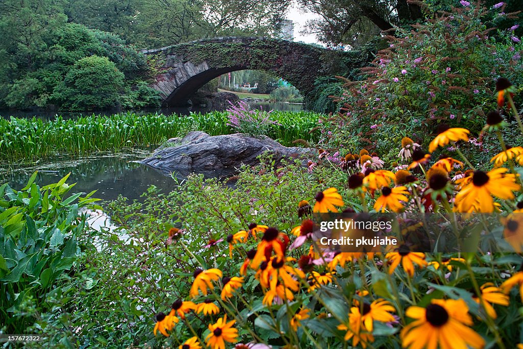 Bridge in central park