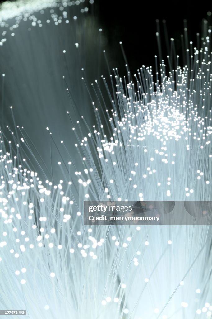 White fiber optic lights