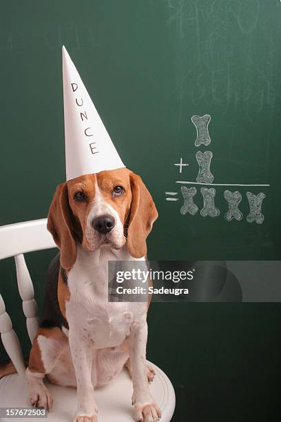 ok, i am not a mathematician - dunce cap 個照片及圖片檔