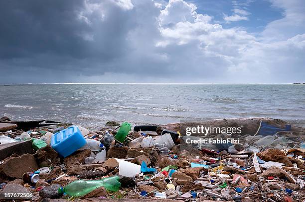 poner verde en la playa - contaminacion fotografías e imágenes de stock