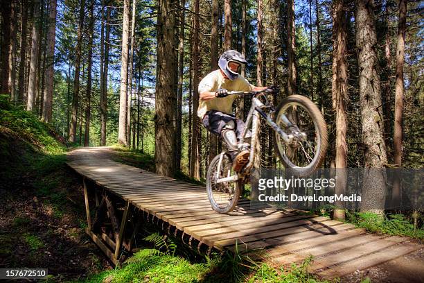 forest mountain biker - wheelie stockfoto's en -beelden