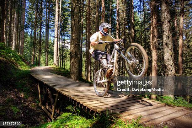 forest mountain biker - wheelie stock pictures, royalty-free photos & images