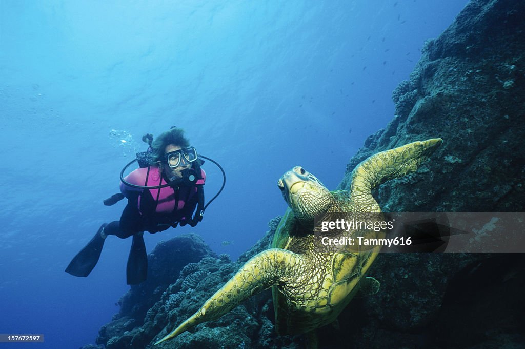 Green Turtle und Frau