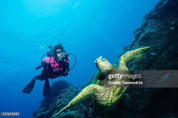 green turtle and woman - green turtle stock pictures, royalty-free photos & images