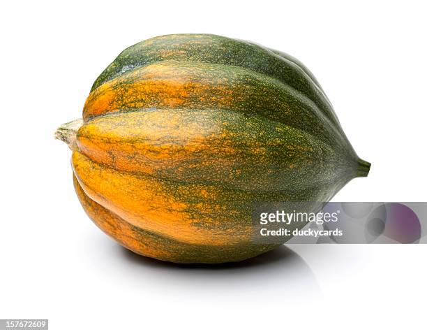 acorn squash isolated on white - winter squash stock pictures, royalty-free photos & images