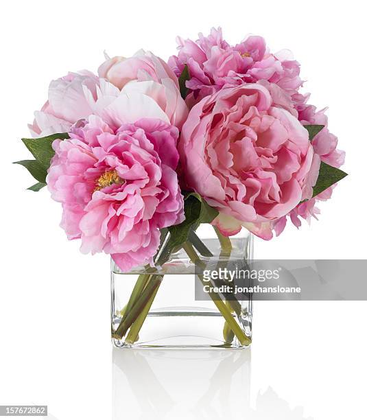 pink peonies on white background - flower arrangement stock pictures, royalty-free photos & images