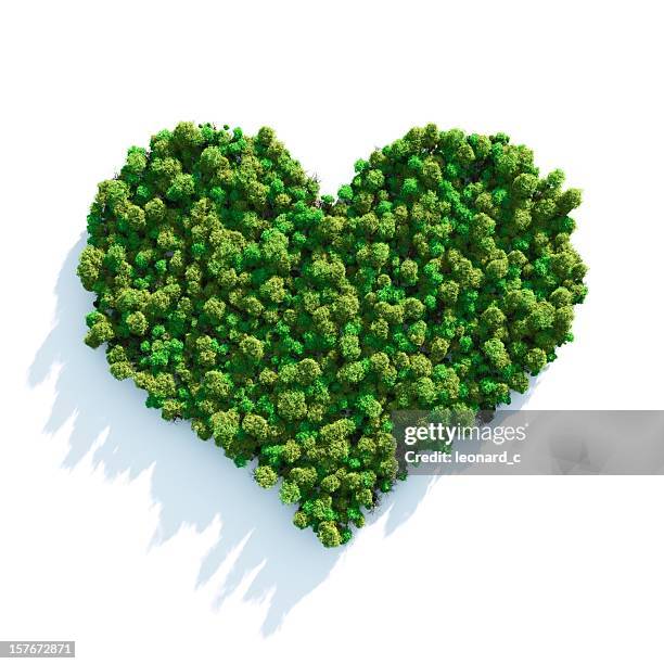 forest love - nature concept foliage green stockfoto's en -beelden