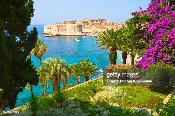 view from floral garden on dubrovnik, croatia - regio-dalmatië-kroatië stockfoto's en -beelden