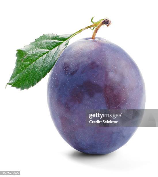 plum - plum stock pictures, royalty-free photos & images