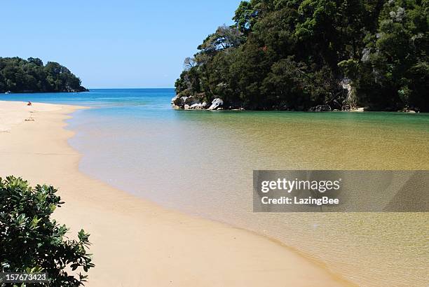 kaiteriteri inlet, tasman region, new zealand/ aotearoa - kaiteriteri stock pictures, royalty-free photos & images