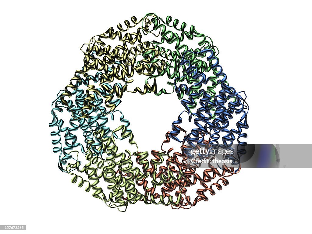 Model of Plant Dye