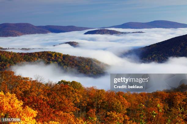 parque nacional shenandoah - montañas apalaches fotografías e imágenes de stock