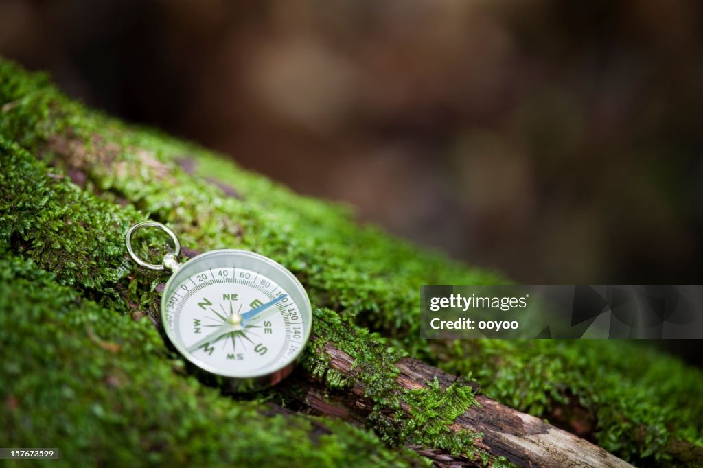 Compass In A Forest High-Res Stock Photo - Getty Images