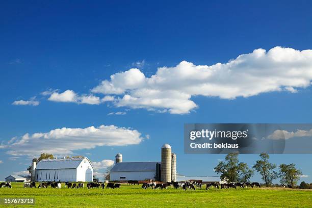 lancaster county farm - american ranch landscape stock-fotos und bilder