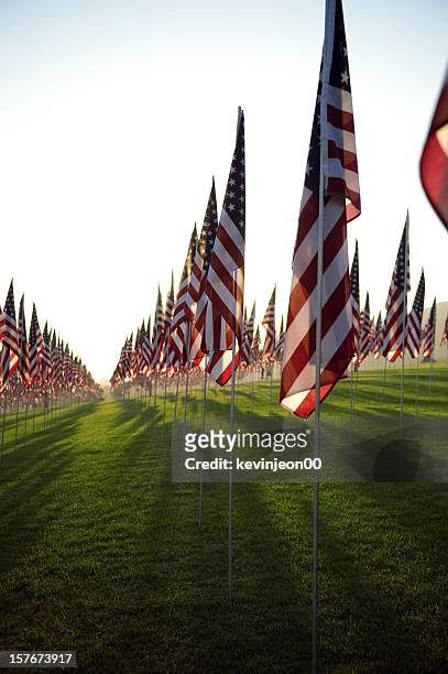 rows of american flags with the sun behind them - war memorial holiday stock pictures, royalty-free photos & images