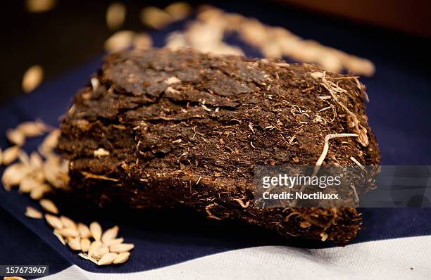 lump of organic turf or peat used to make whiskey - peat stock pictures, royalty-free photos & images
