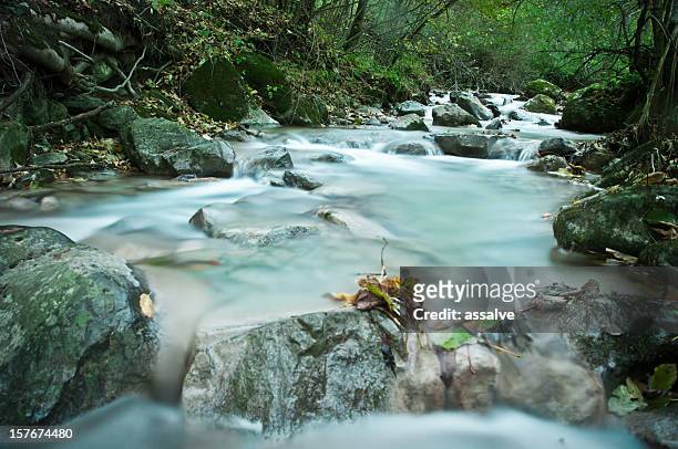 flowing running river spring water - groundwater stockfoto's en -beelden