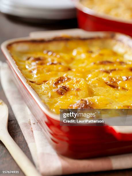 crème gratin dauphinois - pommes de terre cuisinées photos et images de collection
