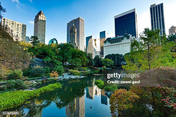 central park in new york city - central park manhattan stock-fotos und bilder