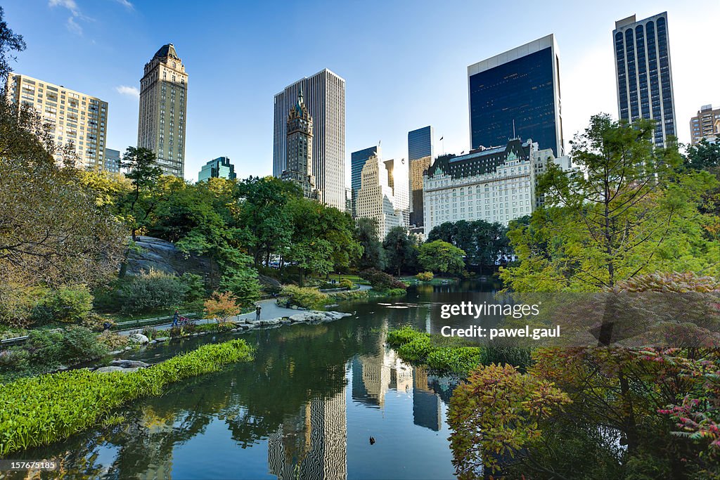 Central Park en la ciudad de Nueva York