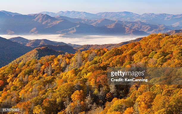 山脈にある秋の森や - グレートスモーキー山脈 ストックフォトと画像