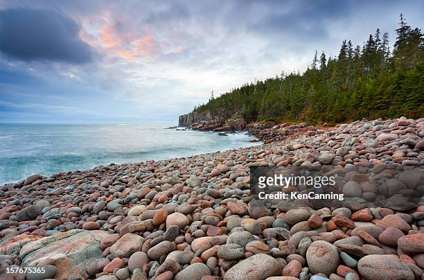 acadia rocky coast - rocky coastline stockfoto's en -beelden