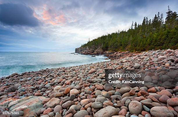 acadia rocky coast - maine stock pictures, royalty-free photos & images
