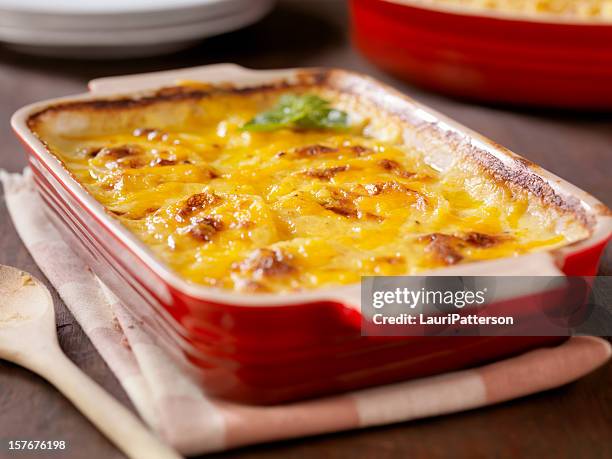 creamy potatoes au gratin - casserole bildbanksfoton och bilder