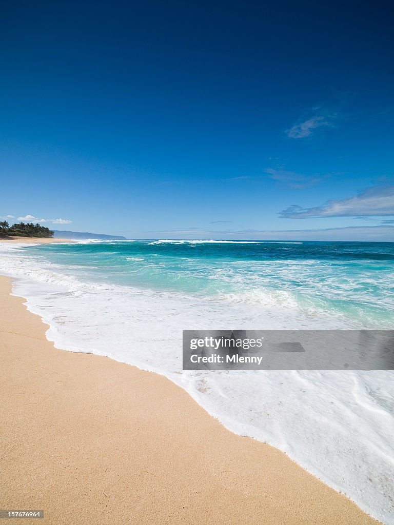 Ondas mergulhar em uma praia em Oahu, Havaí,